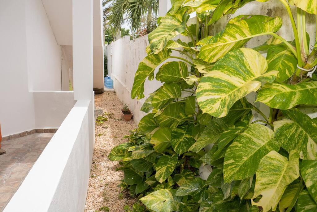 Villa Caribe Bayahíbe Exterior foto